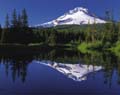 Mt_Hood_TrilliumLake
