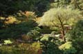 	Japanese Gardens 04