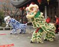 	Lan Su Chinese Garden Lion Dance