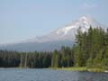 	Mt Hood In Summer