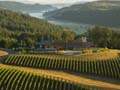 	Oregon Wine Penner Ash Vineyards