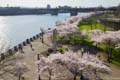 	Waterfront Park From Steel Bridge in Spring