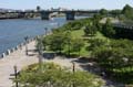 	Waterfront Park From Steel Bridge in Summer